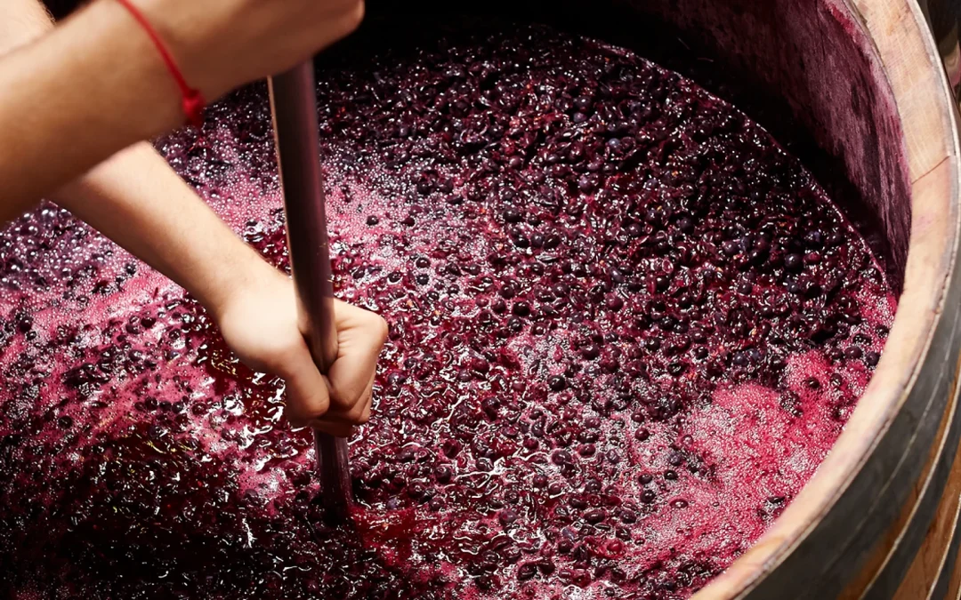 INTERNATIONAL WINE FESTIVAL